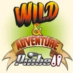 Wild & Adventure Pinball