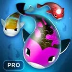 Zen Koi Pro