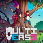 What Lies in the Multiverse