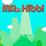Mr. Hibbl