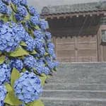 Escape Room Rainy season day