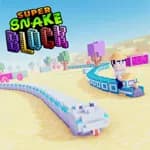 Super Snake Block