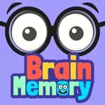 Brain Memory