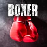 Boxer