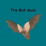 The Bat Quiz