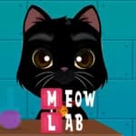 Meow Lab