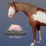 Unbridled: Horse Designer