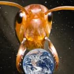 2023: Alien Bugs Invade Earth