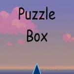 Puzzle Box