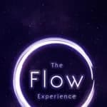 The Flow Experience