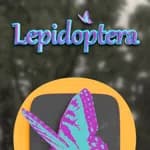 Lepidoptera