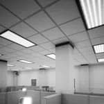 The Suits Have Gone Mad!