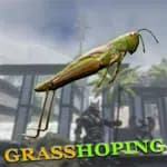 Grasshoping
