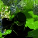 何必江湖 Why To JiangHu