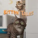 Kitten Tales