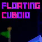 Floating Cuboid