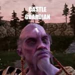 Castle Guardian