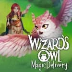 Wizards Owl: Magic Delivery