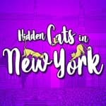 Hidden Cats in New York