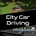 City Car Driving