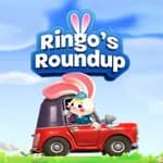Ringo's Roundup