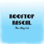 Rooftop Rascal: The Alley Cat