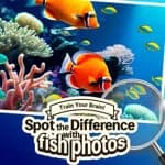 Train Your Brain! Spot the Difference with fish photos