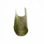 Courageous Reasoning Nori 7 New World