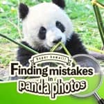 Super kawaii! Finding mistakes in panda photos