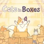 Cats in Boxes