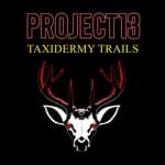 Project 13: Taxidermy