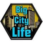 Big City Life : Simulator