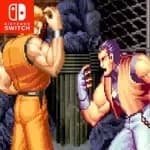 ACA NEOGEO ART OF FIGHTING