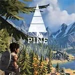 Pine