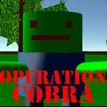 Operation COBRA