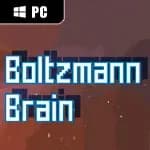 Boltzmann Brain