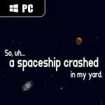 So, uh... a spaceship crashed in my yard.