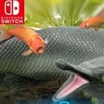 Catch 'Em! Goldfish Scooping