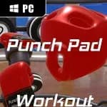 Punch Pad Workout