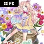 Atelier Meruru: The Apprentice of Arland DX