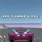 My Stunt Life