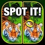 What's the Difference?