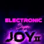 Electronic Super Joy 2