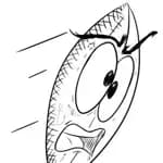 Sketch Wars: Cartoon Tower Defense All Hand Drawn