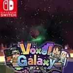 Voxel Galaxy