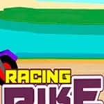 Racing Bike Fight