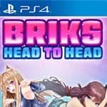 BRIKS HEAD TO HEAD