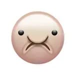 Blobfish