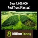 Solitaire For Trees - Play Solitaire & Plant Trees