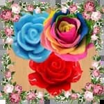 Rose Garden free games offline